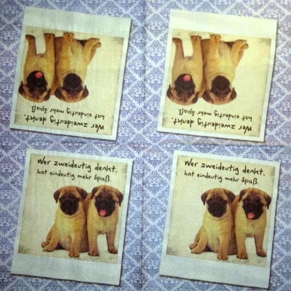 HUN-121 Dogs - 3-ply - Wer zweideutig denkt...